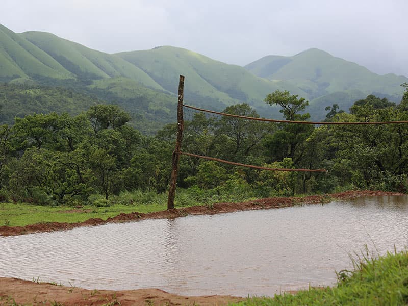 What do you want to do?