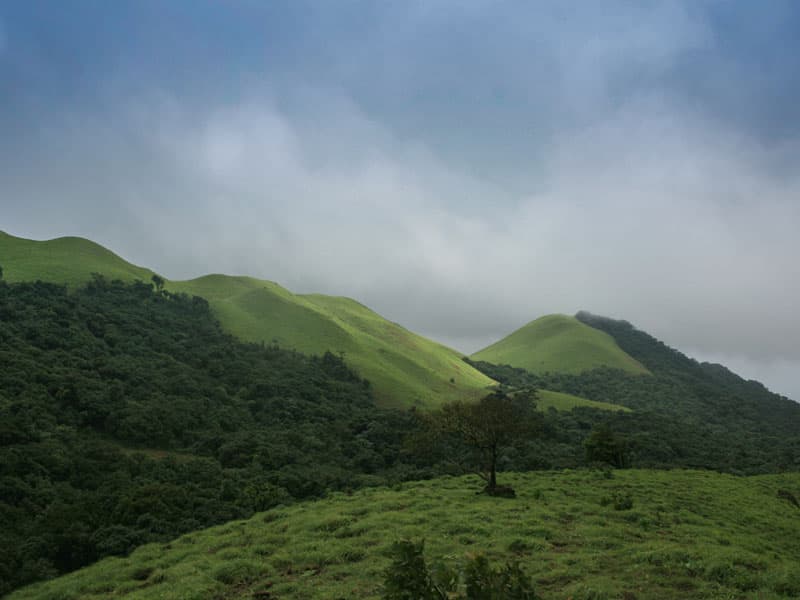 Difference between Nature Resort and Luxury resort