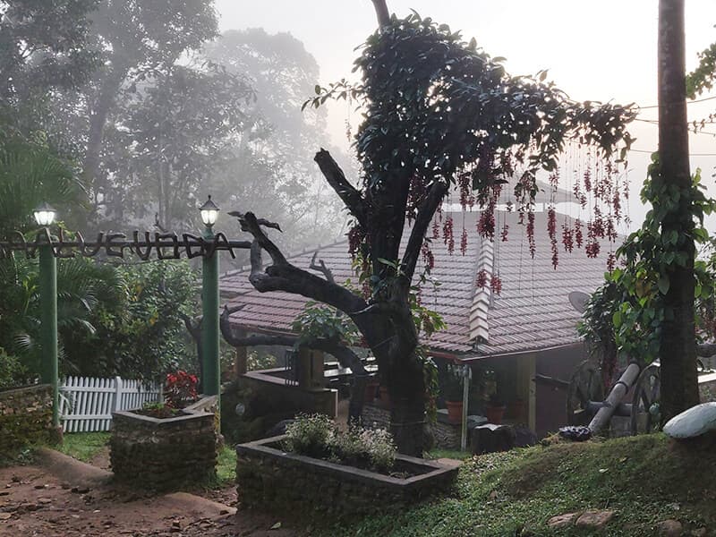 Difference between Nature Resort and Luxury resort