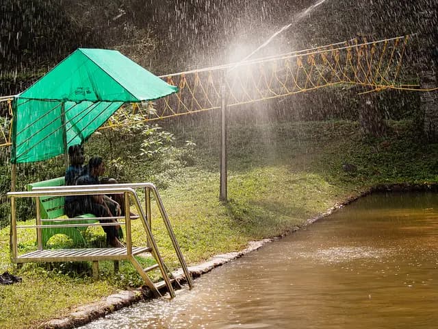 What do you want to do?