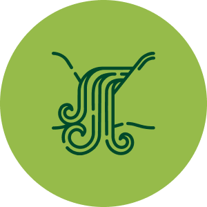 Trekking by the Waterfall