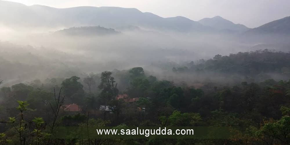 A Complete Travel Guide to Sakleshpur and Surrounding Western Ghats: What to See, Do and Experience