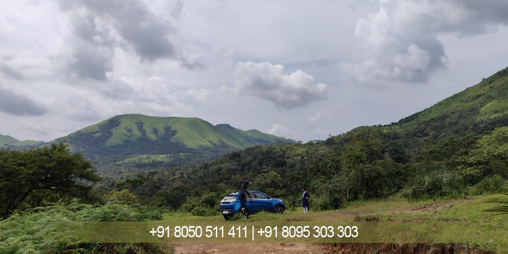 Wildlife and Birding at Saalugudda: A Nature Lovers Paradise