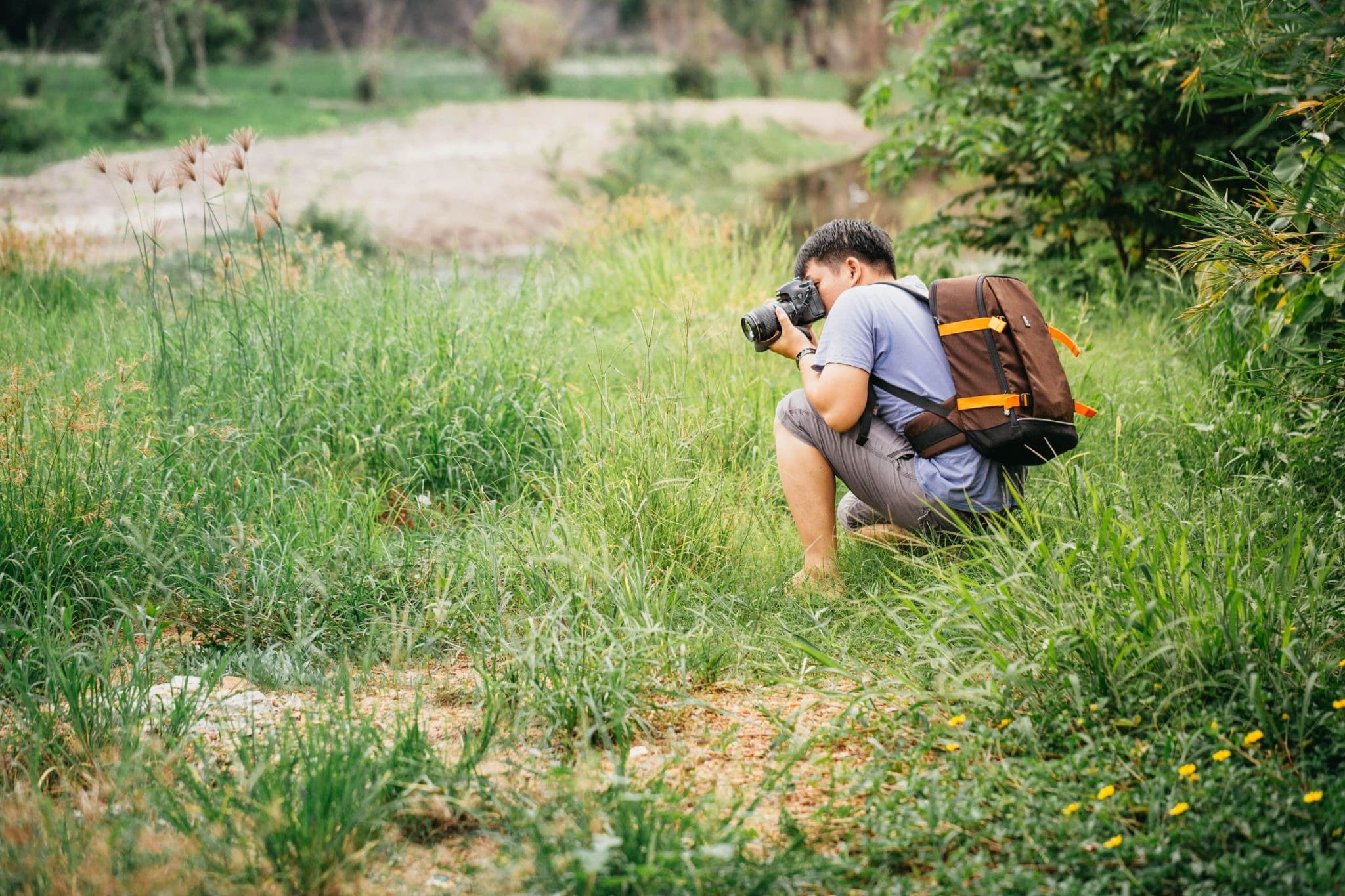 Wildlife and Birding at Saalugudda: A Nature Lovers Paradise