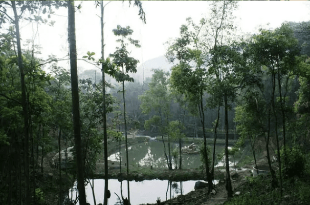 A Complete Travel Guide to Sakleshpur and Surrounding Western Ghats: What to See, Do and Experience