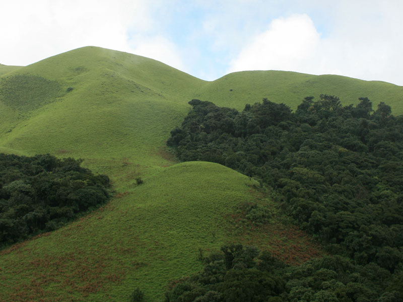 Image 69